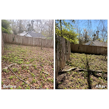Leaf-Cleanup-and-Removal-in-Oxford-MS 2